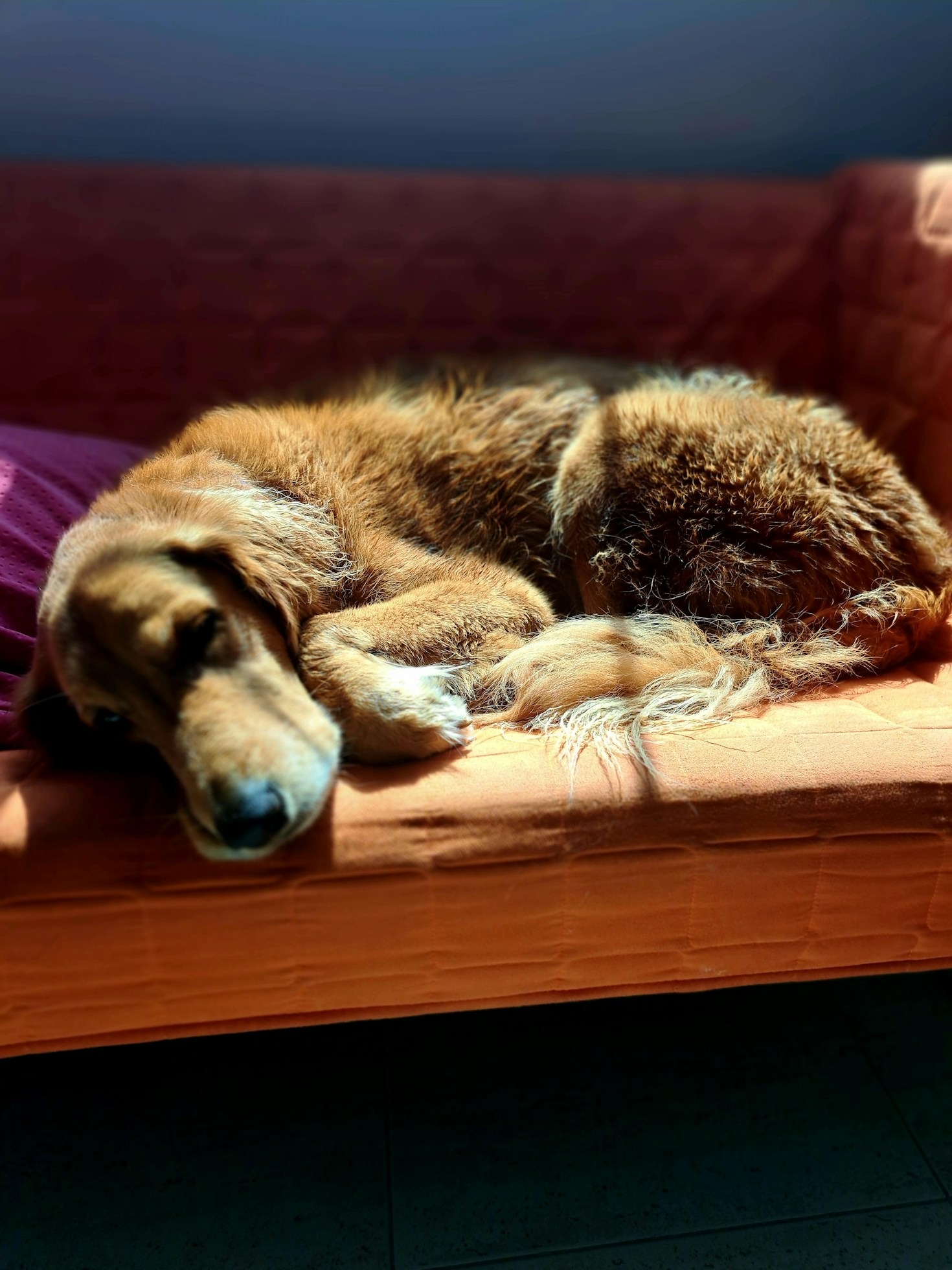 Spacery w naturze – dlaczego są tak ważne